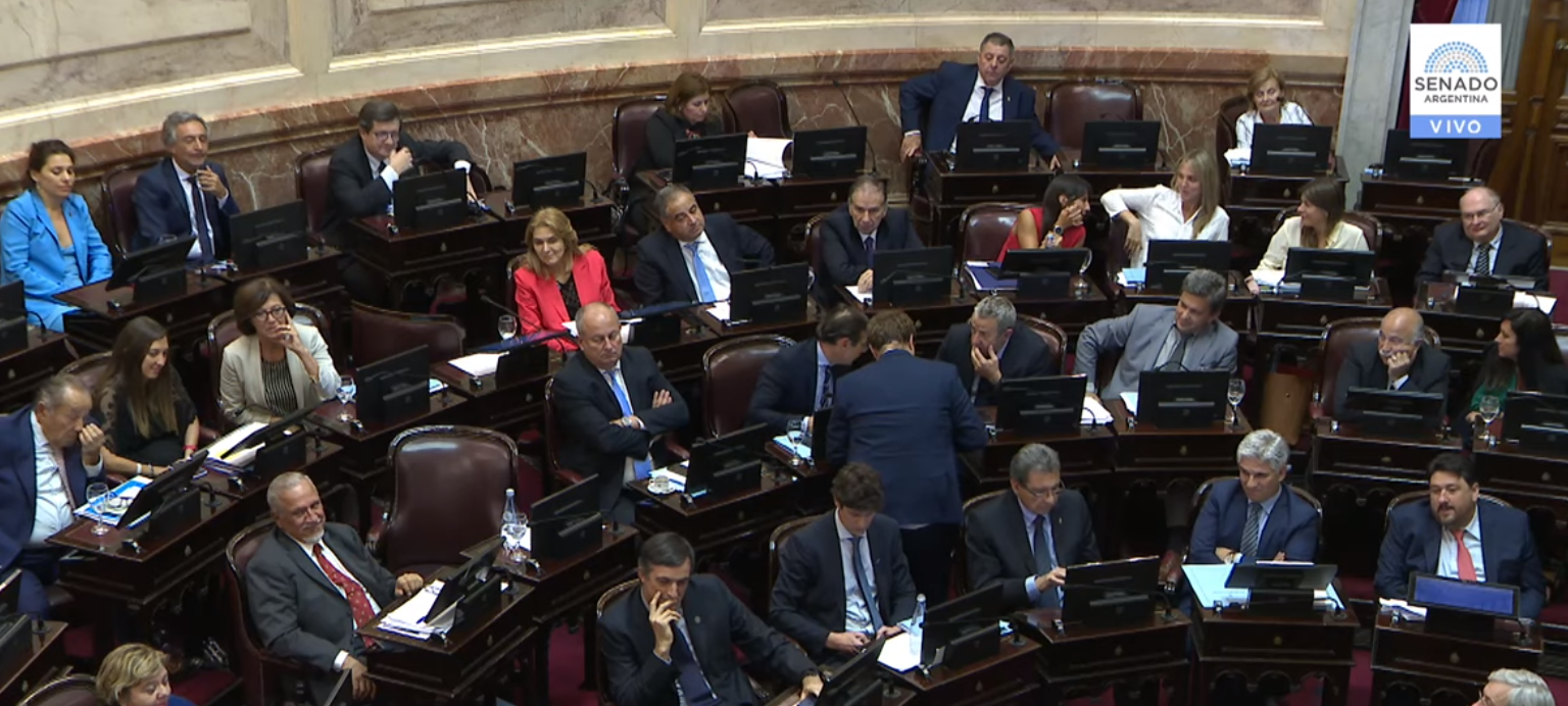 El Senado aprobó «Solidaridad social y reactivación productiva»