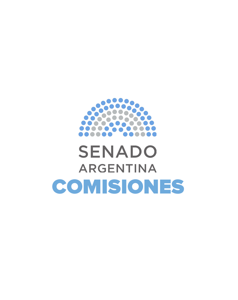 Comisión de Derechos y Garantías